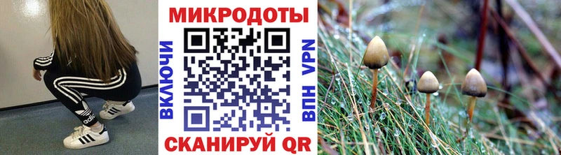 где найти наркотики KRAKEN зеркало Псилоцибиновые грибы MAGIC MUSHROOMS Лиски
