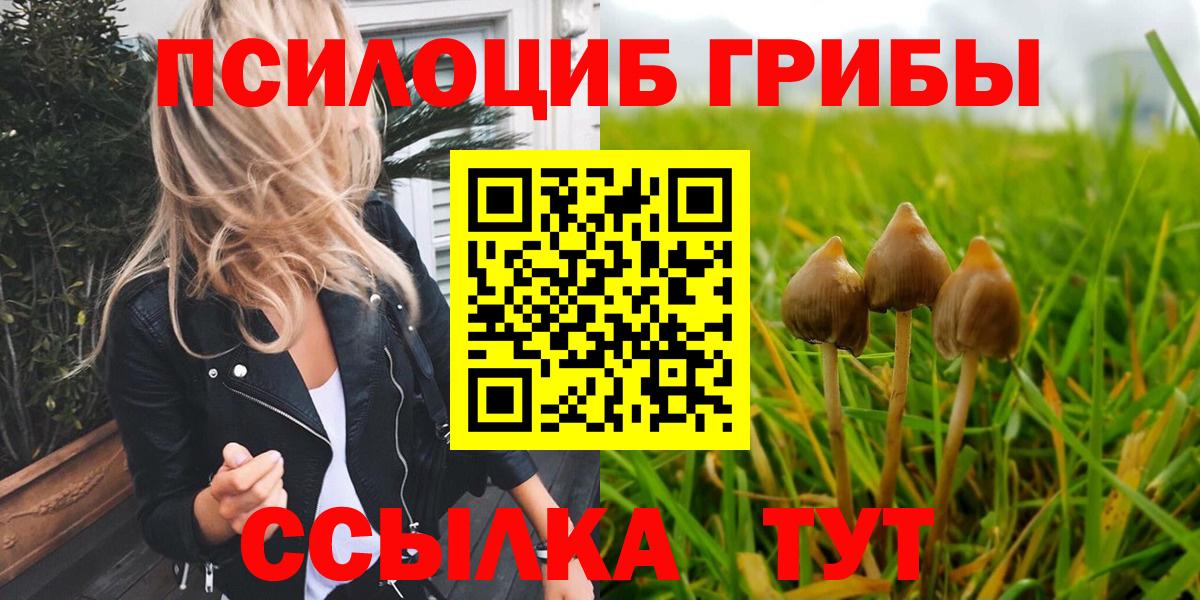 Галлюциногенные грибы Psilocybe Лиски